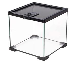 Terra Della Glas-Terrarium Nero, Diverse Misure, NUOVO