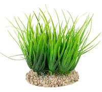 Terra Della Helanthium Verde - 1 pz.