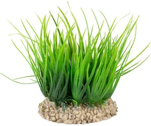 Terra Della Helanthium Verde - 1 pz.