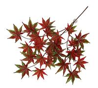 Terra Della, Impianto Appeso Cannabis 65x40x5cm Rosso, Rettile, Rosso, Rettili
