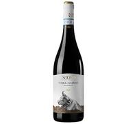 Terra Di Safnio - Sannio Aglianico DOC - Nifo - Vino Rosso (1 bottiglia)