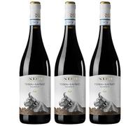 Terra Di Safnio - Sannio Aglianico DOC - Nifo - Vino Rosso (3 bottiglie)