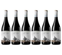 Terra Di Safnio - Sannio Aglianico DOC - Nifo - Vino Rosso (6 BT)