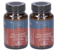 Terra Nova Vollagene e Acido Ialuronico Capsule 2x43 g Capsule