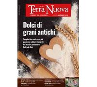 Terra nuova (2019). Vol. 11: Novembre