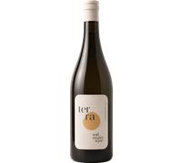 Terra Pinot Bianco Vigneti delle Dolomiti IGT - Widmann Wine 2024