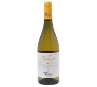 Terra - Sapori Umbri Colli Martani DOC Trebbiano 2025 0,75 l