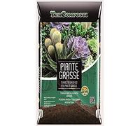 Terra Terriccio substarto specifico per piante grasse 10 litri