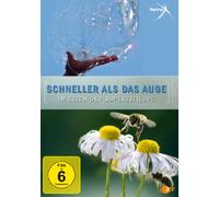 Terra X - Schneller als das Auge/Im Reich der Superzeitlupe