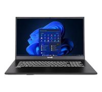 TERRA Y Mobile 1716R i3-1315U W11 Home, Intel® Core i3, 43,9 cm (17,3"), 1920 x 1080