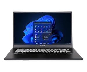TERRA Y Mobile 1716R i3-1315U W11 Home, Intel® Core i3, 43,9 cm (17,3"), 1920 x 1080