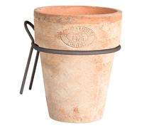 Terracotta Tonnellata Piante Parete Fiori Pentola Oltre Um Rotondo Con Metallo