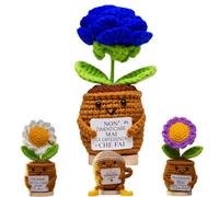 TerraDesign® | Rosa Blu Eterna | Regalo Emozionale Uomo Donna Fidanzata | Non Dimenticare Mai la Differenza Che Fai | Fiore Finto Stabilizzato | Compleanno Persona Speciale Sorpresa Coppia Lui e Lei