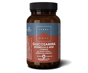 TERRANOVA GLUCOSAMINA BOSWELLIA MSM COMPLEX 50 CPS