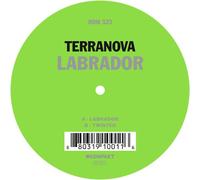 Terranova - Labrador