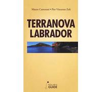 Terranova Labrador