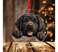 Terranova Ornamenti natalizi a forma di cagnolino in acrilico, souvenir di Natale, divertente decorazione da appendere per la casa per gli amanti dei viaggi