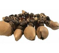 Terrapin Trading Ltd R116 Maraca Shaker Artigianale Fair Trade Wood Calabash