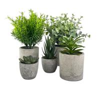 TERRARIDE 5 Pezzi Piante Artificiali, Mini Piante finte Serpentine, Eucalipto, Agave Succulente, Aloe Artiglio d'Aquila, Piante artificiali da Interno e da Esterno per Camera da Letto Ufficio