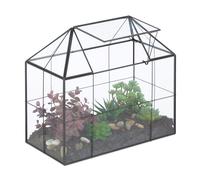 Terrario Casetta Piante Mini Serra Piantine Grasse Cactus Vetro Interno Teca