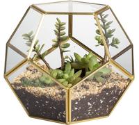 Terrario geometrico per succulente, trasparente, formato da dodici lastre pentag