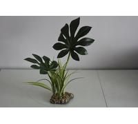 Terrario Grande Giungla Tettoia Pianta 11 x 8 x 43 CM Rettili Rane