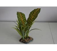 Terrario Grande Tropicale Tettoia Pianta 11 x 8 x 30 CM Rettili Rane