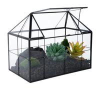 Terrario per piante grasse e cactus, realizzato a mano, in vetro, vintage, forma geometrica, con copertura, decorazione per casa e ufficio