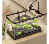 Terrario Per Tartarughe D'acqua Dell'acqua Reptile Habitat Turtle Tank Habitat Multiuso Per Tartarughe Bianche E Brasiliane(Medium)