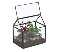 Terrario Piante Mini Serra Piantine Grasse Cactus Casetta Vetro Interno Teca