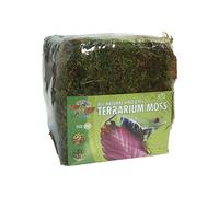 Terrarium Moss Busta Muschio per terrari e acquari eccellente per la deposizione