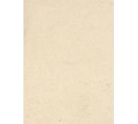 Terrastone original fein - 15kg - 20 - champagner sienna - 15 kg