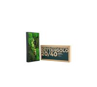 TERRAVIVA DESIGN QUADRO 20X40 CM CON PIANTE STABILIZZATE PIETRE E LEGNO