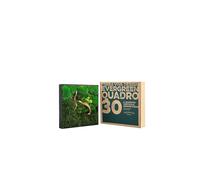 TERRAVIVA DESIGN QUADRO 30X30 CM CON PIANTE STABILIZZATE PIETRE E LEGNO
