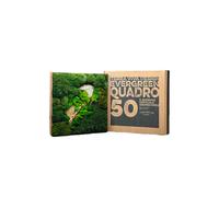 TERRAVIVA DESIGN QUADRO 50X50 CM CON PIANTE STABILIZZATE PIETRE E LEGNO