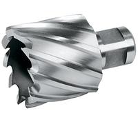 TERRAX by RUKO - Punta a nucleo HSS Ø 18 mm x 30 mm, codolo Weldon 19 mm - alta velocità, durata prolungata, senza centraggio - per trapani a colonna e magnetici
