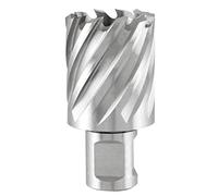 TERRAX by RUKO Punta a Nucleo HSS Ø 6,35 mm - Profondità di Taglio 30 mm - Carotatore per Metallo con Codolo Weldon - Per Trapani Magnetici e a Colonna