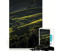 Terrazze di riso in Vietnam Puzzle da 1000 pezzi per adolescenti Puzzle Clear Logic Giocattolo Momento di pace Taglio perfetto Lista dei desideri di Babbo Natale (38x52cm)
