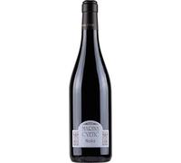 Terre Aquilane IGT Marina Cvetic Merlot Masciarelli 2015 0,75 ℓ