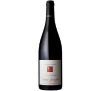 Terre d'encre 2024 - Domaine Georges Vernay Saint-Joseph