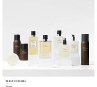 Hermes Terre D'Hermes - Refill Eau de Toilette da uomo 125 ml