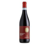 TERRE DI CASTELNUOVO - VALPOLICELLA RIPASSO 75 cl