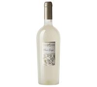 Terre di Chieti IGP Pinot Grigio Tenuta Ulisse 2024, 0,75 ℓ