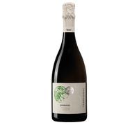 Terre di Rai Prosecco DOC Treviso Brut 0,75 ℓ