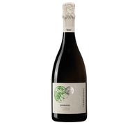 Terre di Rai Prosecco DOC Treviso Brut 0,75 l