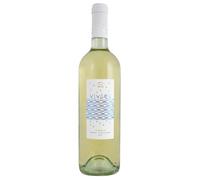 Terre Siciliane IGP Bianco Vivace Cantine Birgi 2023, 0,75 ℓ