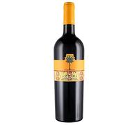 Terre Siciliane IGT Syrah Cantine Fina 2022, 0,75 ℓ