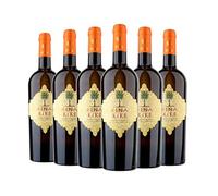 Terre Siciliane IGT Traminer Aromatico Sauvignon Blanc Kikè box da 6 bottiglie Cantine Fina 2018 0,75 L