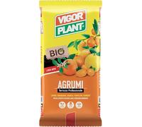 Terriccio Agrumi Professionale 20L | Substrato per Limone, Arancio, Mandarino, Pompelmo e Kumquat, con Pomice e Fibra di Cocco, Drenante e Nutriente per Vasi e Rinvaso 20L