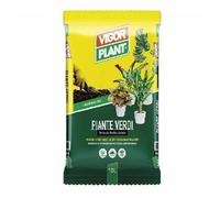 VIGORPLANT Terriccio Piante Verdi 10 Litri